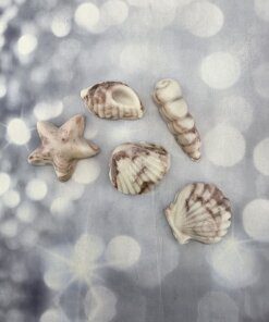 קישוט לעוגה צדפות וקונכיות מבצק סוכר אכיל - גוון חום לבן