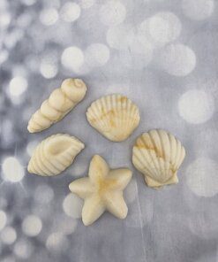 קישוט לעוגה צדפות וקונכיות מבצק סוכר אכיל - גוון לבן וקרם